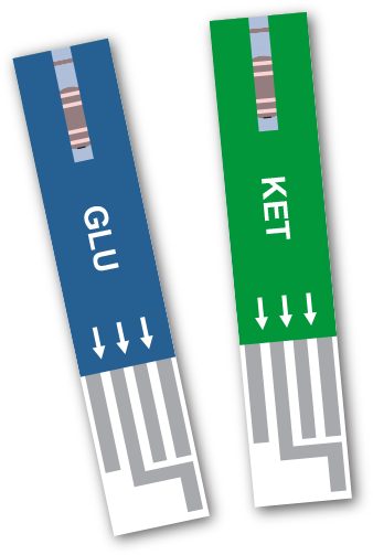 centrivet-gk-blood-glucose-ketone-strip