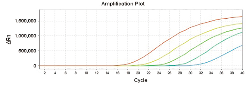 hcv-linearity